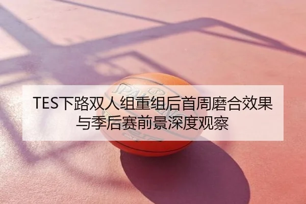 TES下路双人组重组后首周磨合效果与季后赛前景深度观察